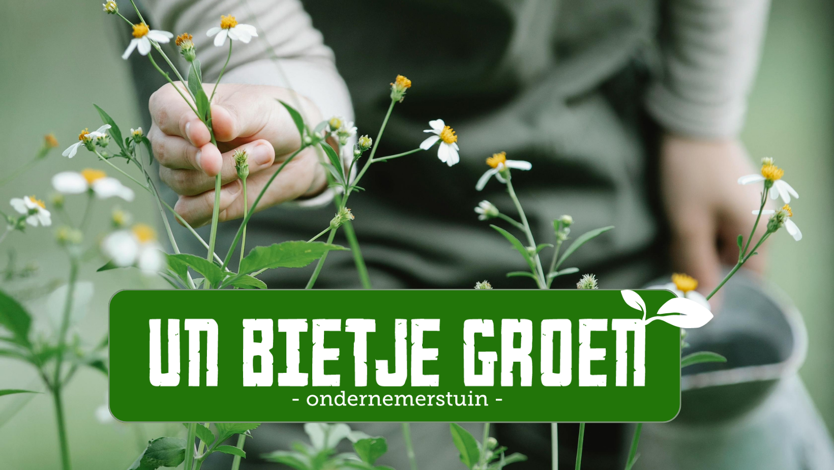 (c) Unbietjegroen.nl